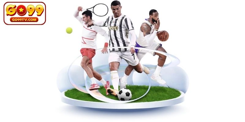 Những bộ môn thể thao được yêu thích tại GO99